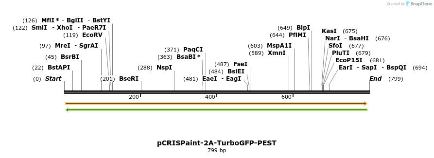 124396_map