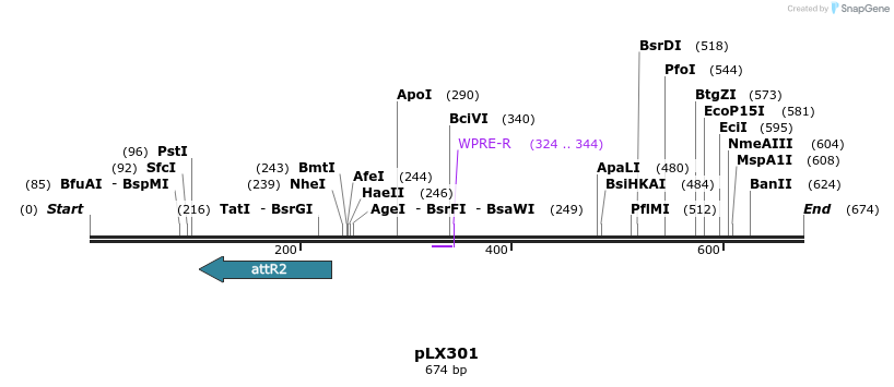 124398_map