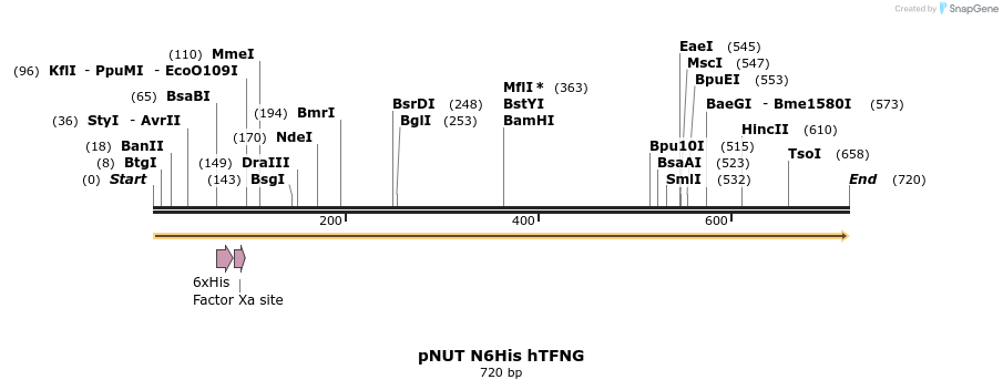 124399_map