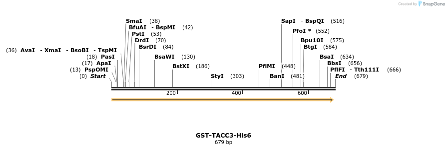 124402_map