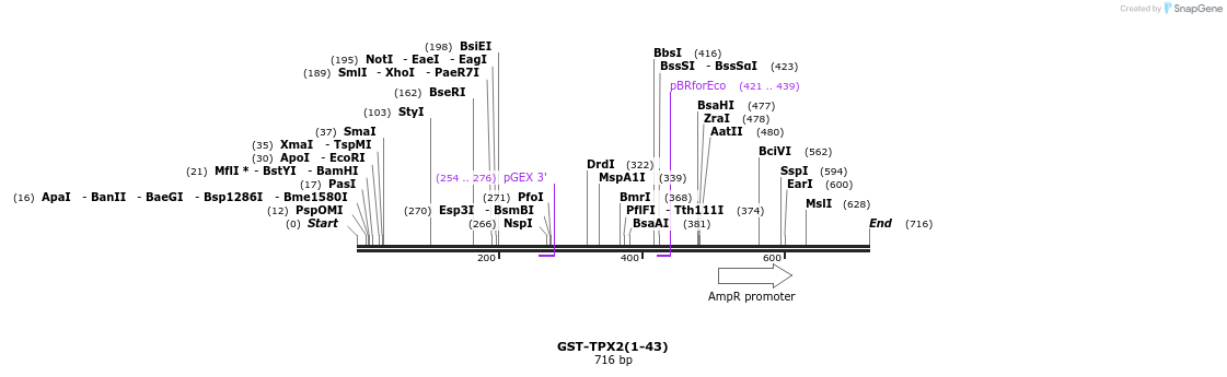 124403_map