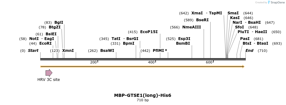 124404_map