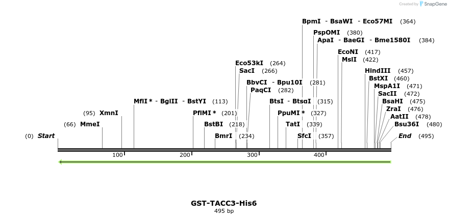 124405_map