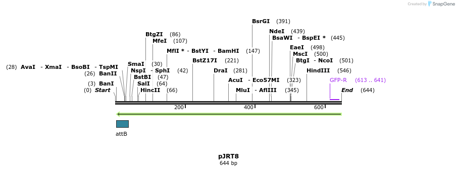 124410_map