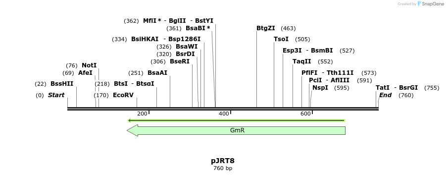 124412_map