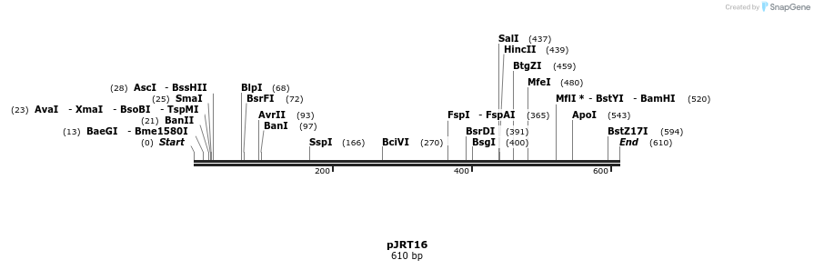 124413_map
