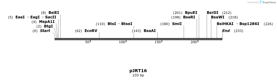 124414_map