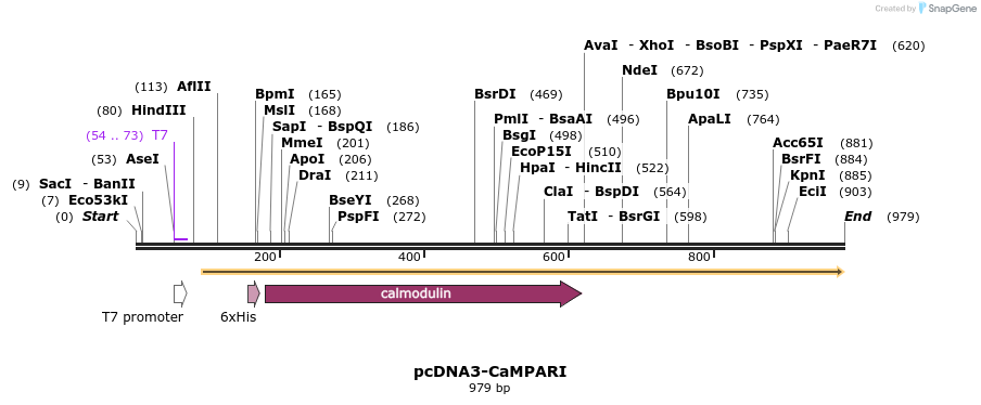124418_map