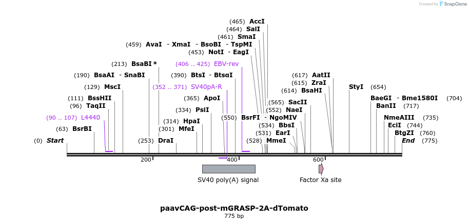124422_map