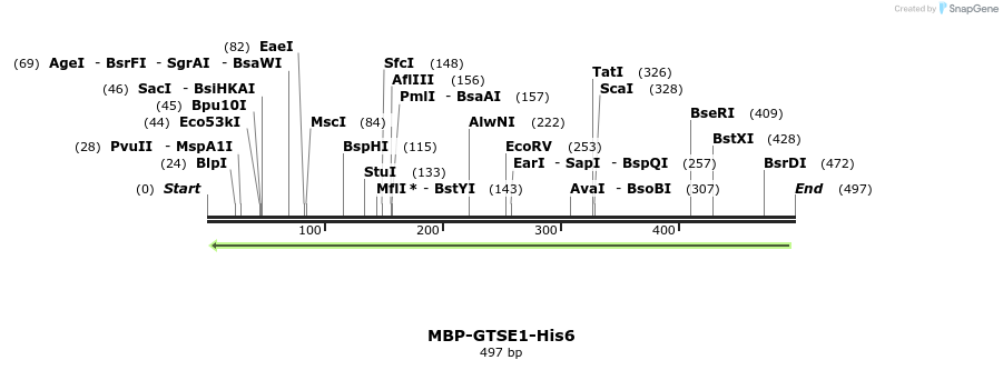 124423_map