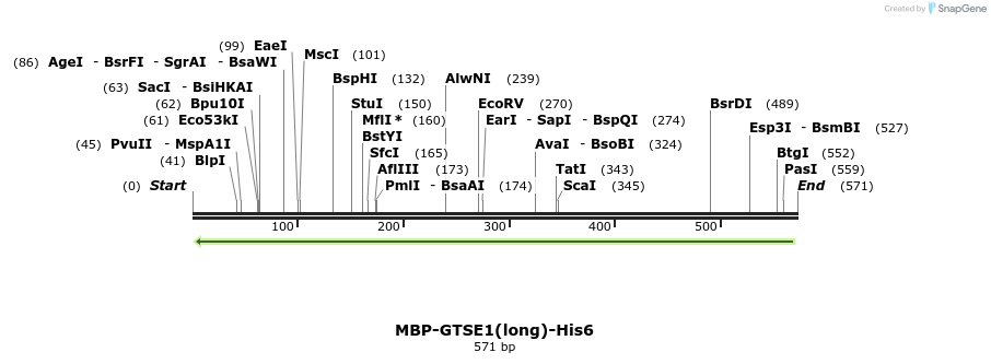 124425_map
