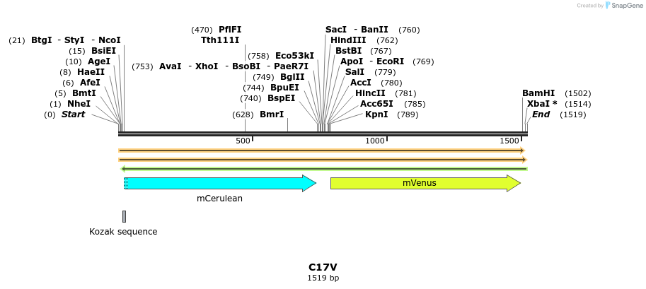 12443_map