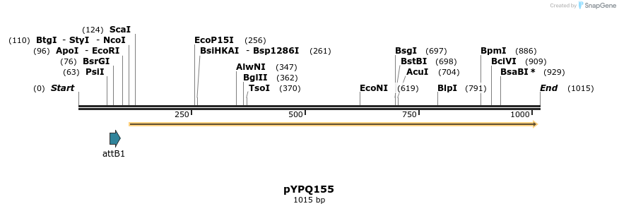 124433_map