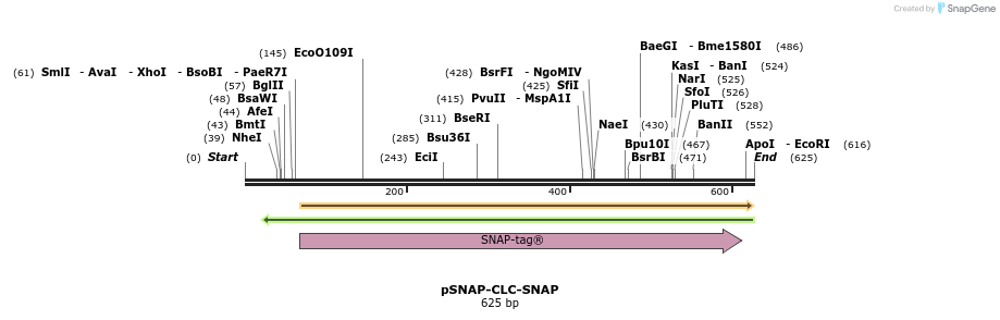 124436_map