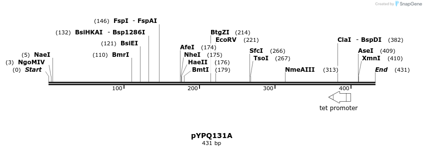124438_map