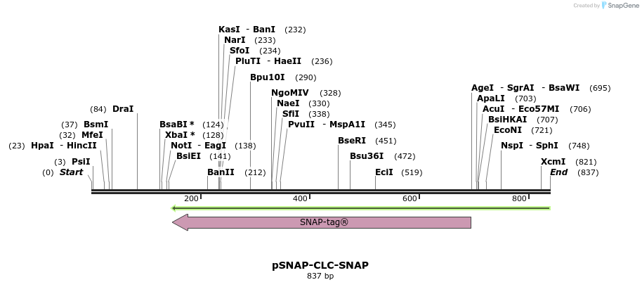 124439_map