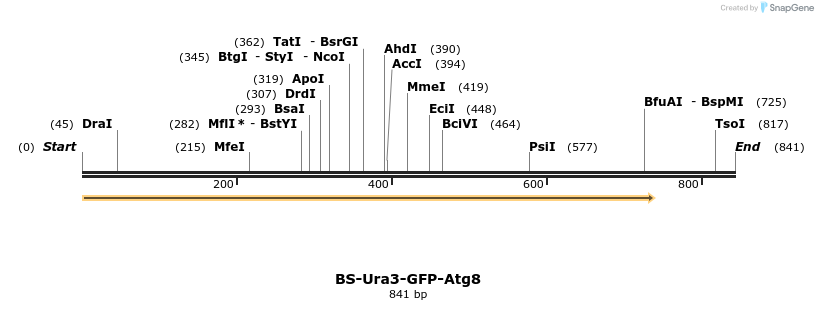 124446_map