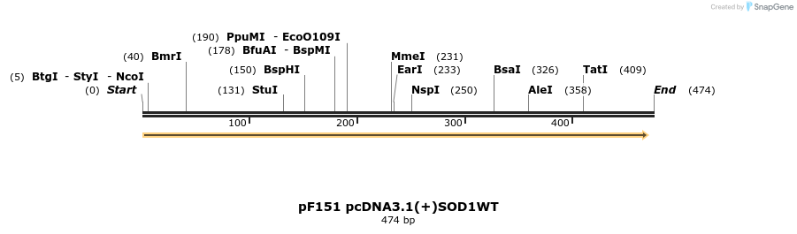 12445_map