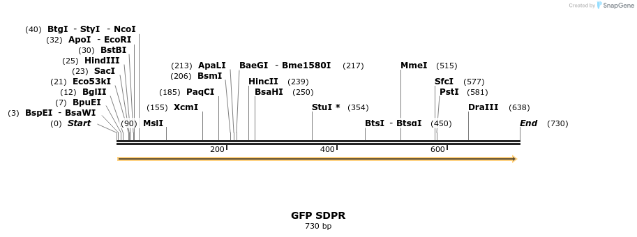 124453_map