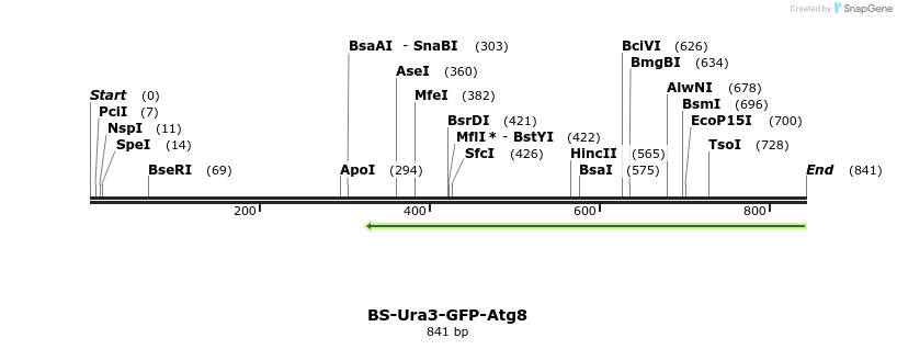 124460_map