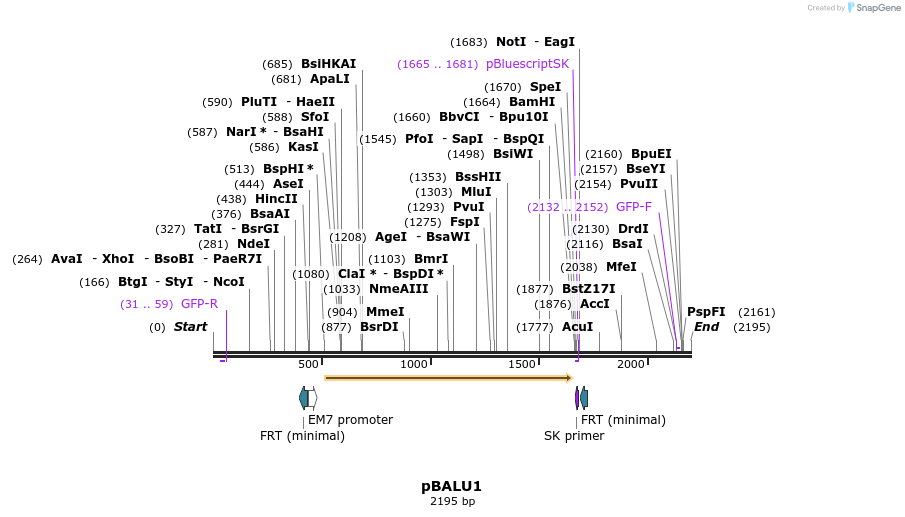 124461_map