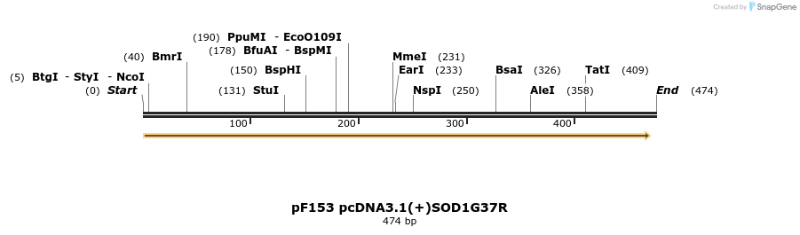 12447_map