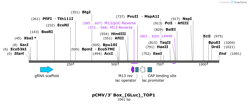 124471_map