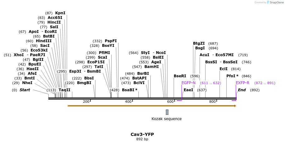 124473_map