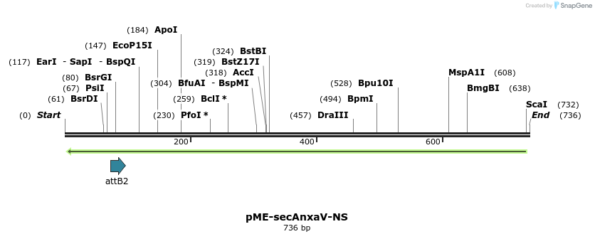 124475_map