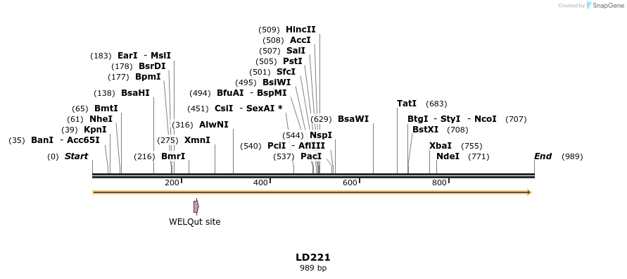 124476_map