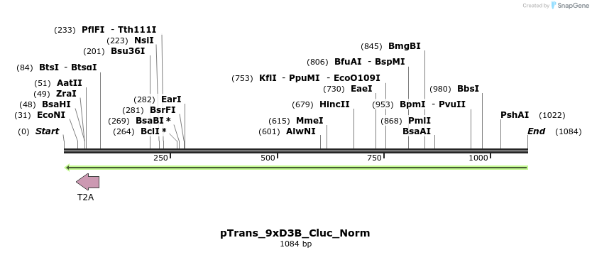 124479_map