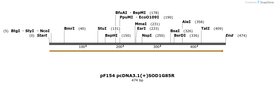 12448_map