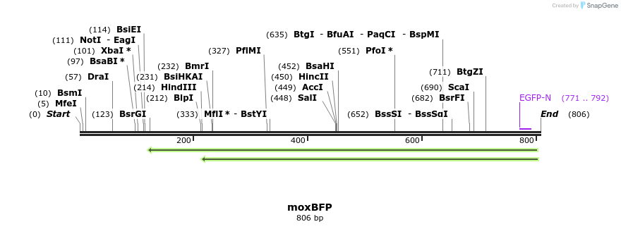 124482_map