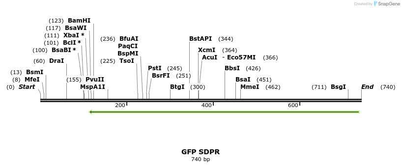 124483_map