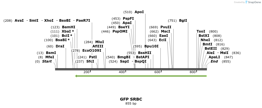 124485_map