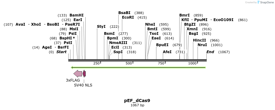 124488_map