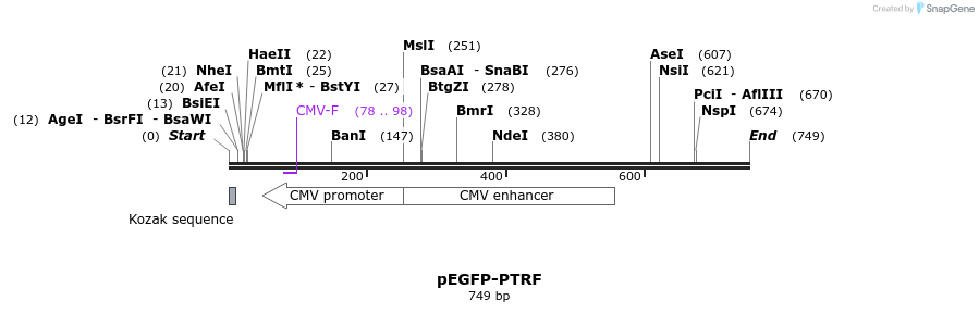 124490_map