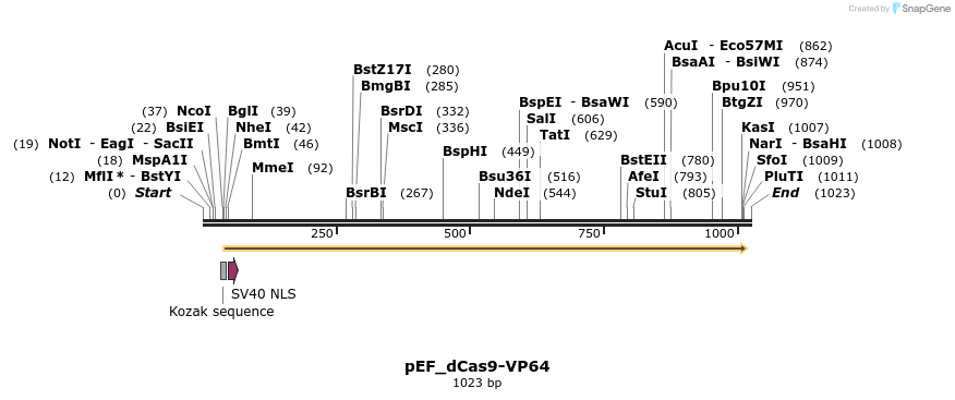 124492_map