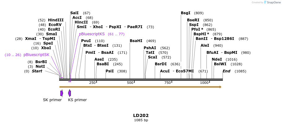 124495_map