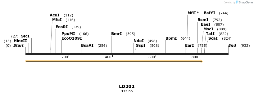 124497_map