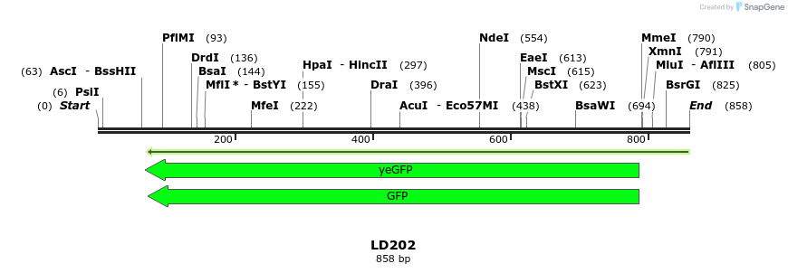 124498_map