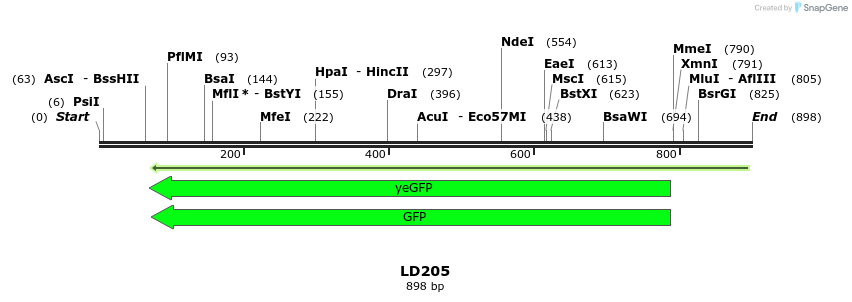 124500_map