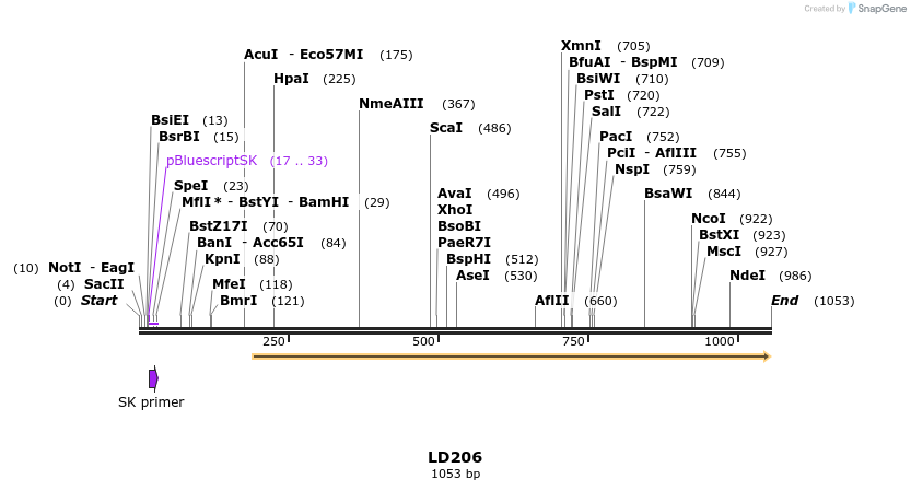 124501_map