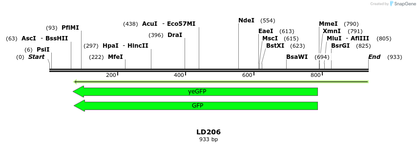 124502_map