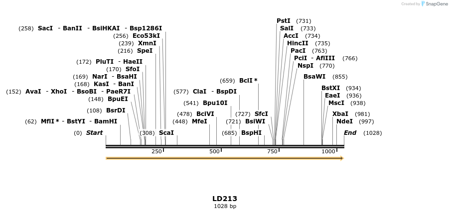 124503_map