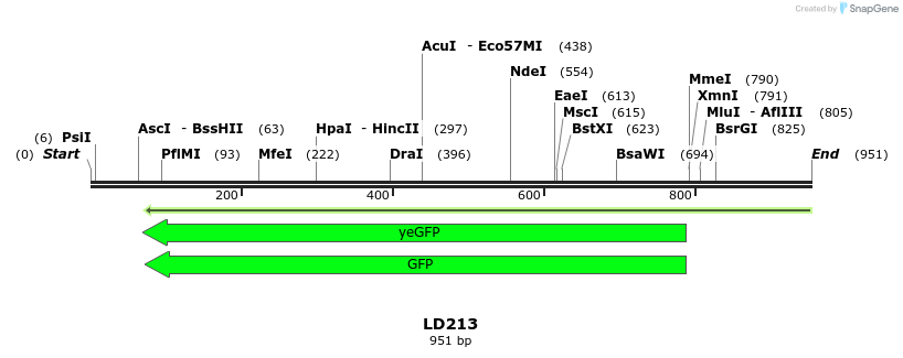 124504_map
