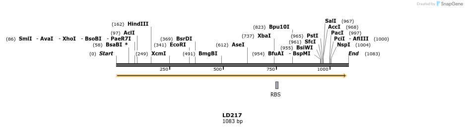 124505_map