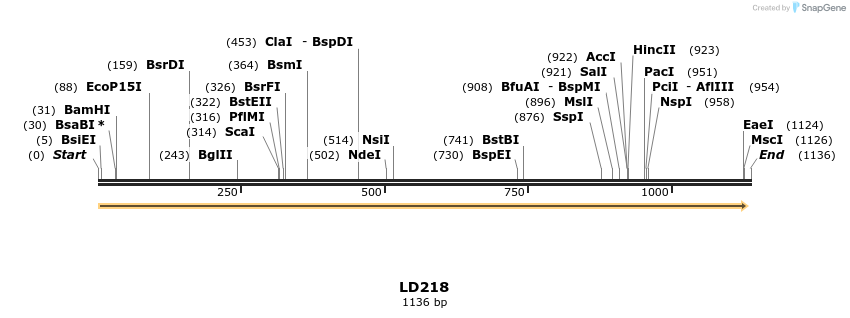 124506_map