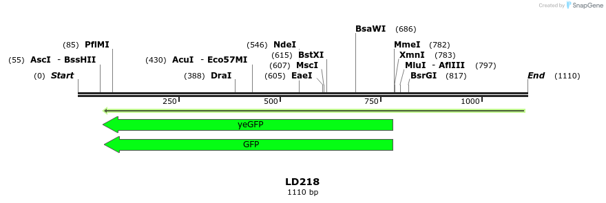 124507_map