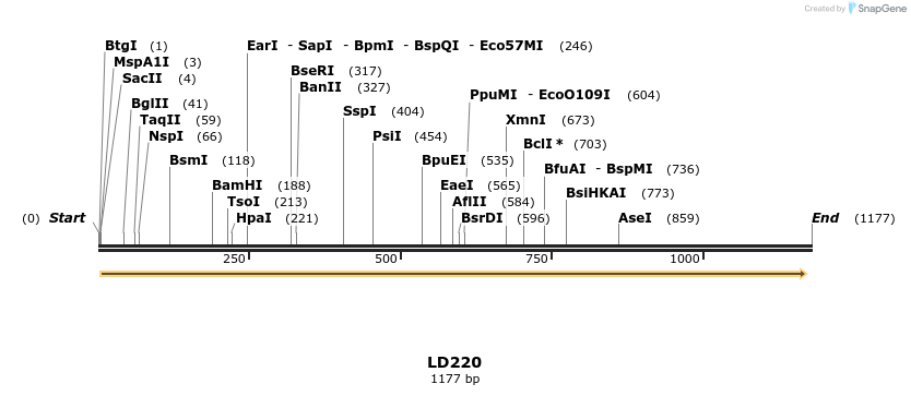 124508_map
